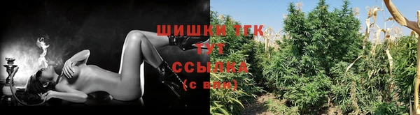 гашик Верхний Тагил