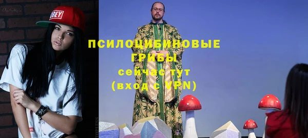 гашик Верхний Тагил